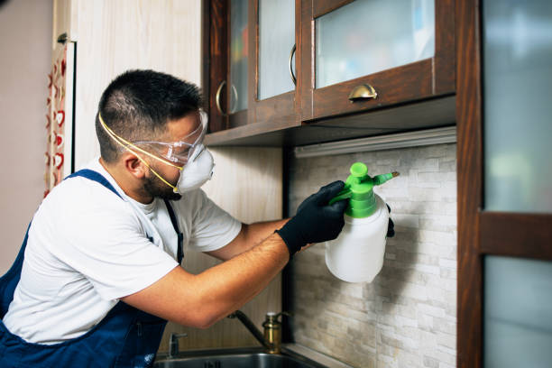 Best Pest Prevention Services  in League City, TX