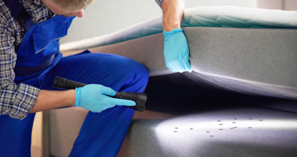 Professional Pest Control in League City, TX